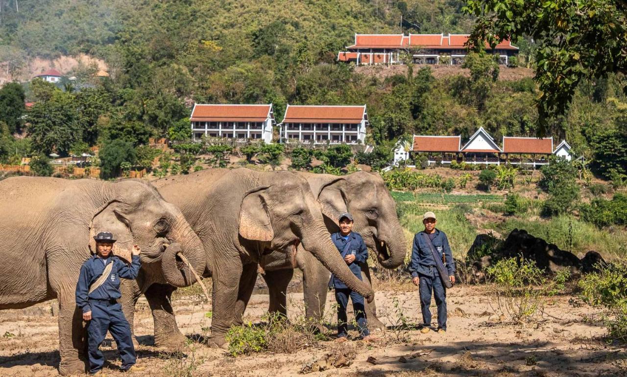 The Sanctuary Pakbeng Lodge Exteriér fotografie